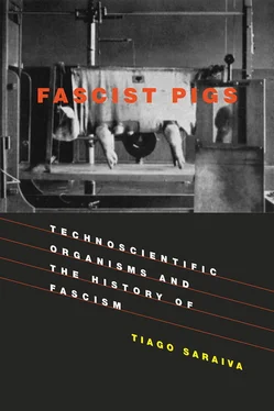 Tiago Saraiva Fascist Pigs обложка книги