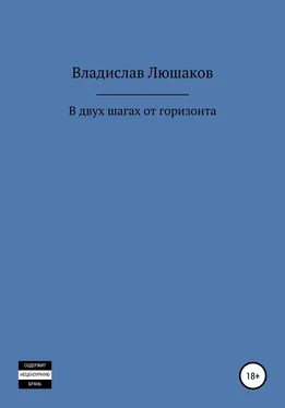 Владислав Люшаков В двух шагах от горизонта обложка книги