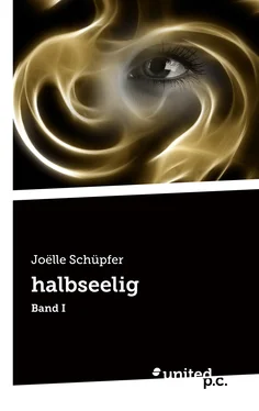 Joëlle Schüpfer halbseelig обложка книги