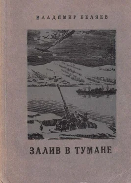 Владимир Беляев Залив в тумане обложка книги