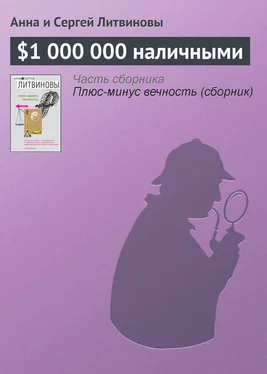 Анна и Сергей Литвиновы $1 000 000 наличными обложка книги