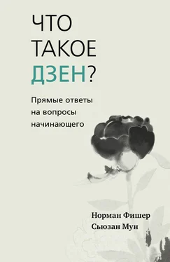 Норман Фишер Что такое дзен? Прямые ответы на вопросы начинающего обложка книги