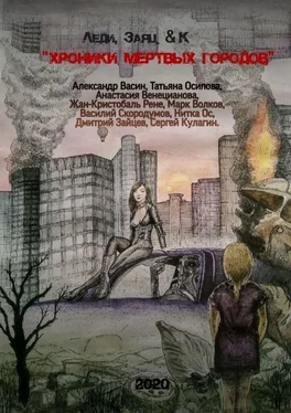 Александр Васин «Хроники мертвых городов» обложка книги