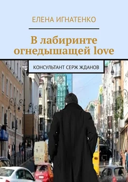 Елена Игнатенко В лабиринте огнедышащей love. Консультант Серж Жданов обложка книги