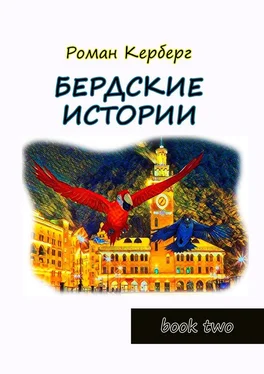 Роман Керберг Бердские истории. Book two обложка книги