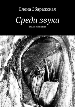 Елена Збаражская Среди звука. Смысл молчания обложка книги