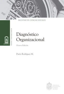 Darío Rodríguez Mansilla Diagnóstico organizacional обложка книги