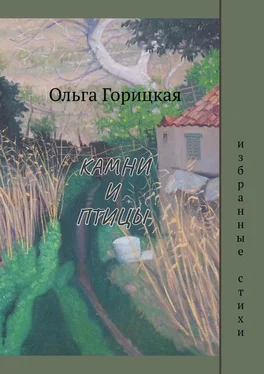 Ольга Горицкая Камни и птицы обложка книги