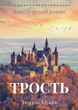 Эндрю Кларк Трость