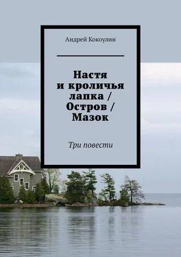 Андрей Кокоулин Настя и кроличья лапка / Остров / Мазок. Три повести обложка книги