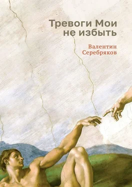 Валентин Серебряков Тревоги Мои не избыть обложка книги
