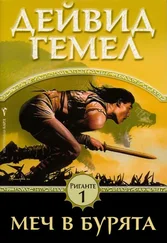 Дейвид Гемел - Меч в бурята