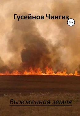 Чингиз Гусейнов Выжженная земля обложка книги