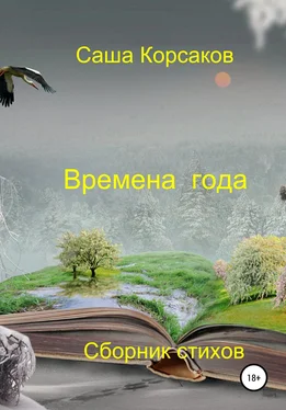 Александр Корсаков Времена года обложка книги