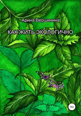 Арина Вершинина Как жить экологично обложка книги