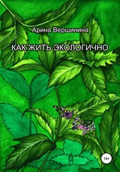 Арина Вершинина - Как жить экологично