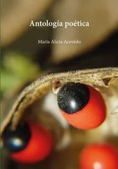 María Alicia Acevedo - Antología poética