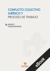Adolfo Ciudad - Conflicto colectivo jurídico y proceso de trabajo
