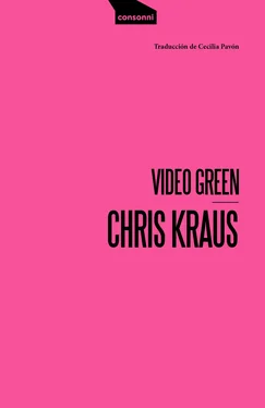 Chris Kraus Video Green обложка книги