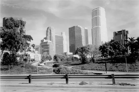 PREFACIO Escribí estos ensayos a lo largo de varios años después de mudarme de - фото 4