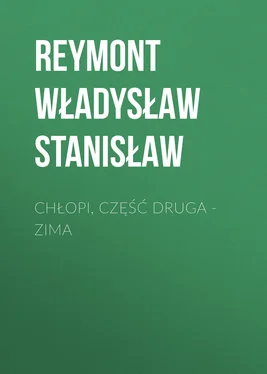 Reymont Władysław Chłopi, Część druga – Zima обложка книги