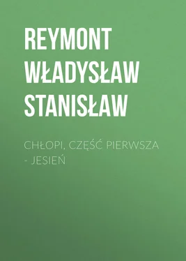 Reymont Władysław Chłopi, Część pierwsza – Jesień обложка книги