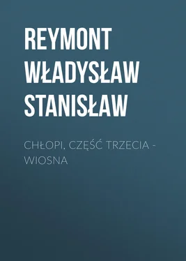 Reymont Władysław Chłopi, Część trzecia – Wiosna обложка книги