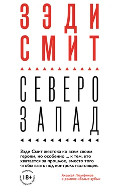 Зэди Смит Северо-Запад обложка книги