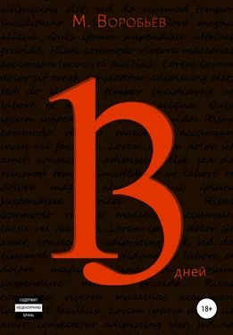 Мирон Воробьёв 13 дней обложка книги