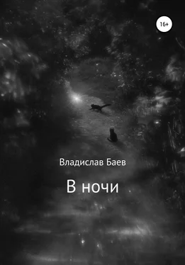 Владислав Баев В ночи обложка книги