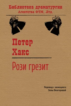 Петер Хакс Рози грезит обложка книги