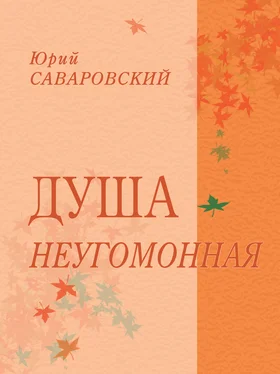 Юрий Саваровский Душа неугомонная обложка книги