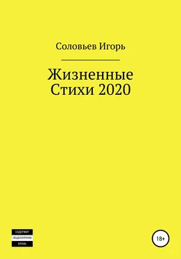 Игорь С Жизненные стихи – 2020 обложка книги