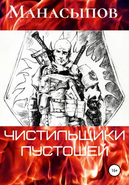 Дмитрий Манасыпов Чистильщики пустошей-1 обложка книги