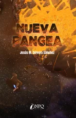 Jesús M. Cervera - Nueva pangea