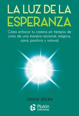 Janice Wicka La Luz de la Esperanza обложка книги