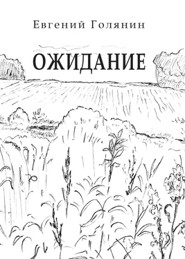 Евгений Голянин Ожидание обложка книги