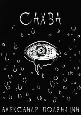 Александр Поляницин Сахва обложка книги