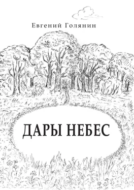 Евгений Голянин Дары небес обложка книги