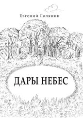 Евгений Голянин - Дары небес