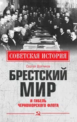 Сергей Войтиков - Брестский мир и гибель Черноморского флота