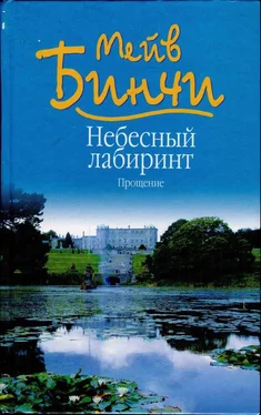 Мейв Бинчи Небесный лабиринт. Прощение обложка книги