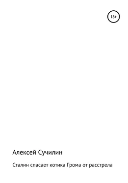 Алексей Сучилин Сталин спасает котика Грома от расстрела обложка книги