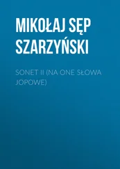 Mikołaj Szarzyński - Sonet II (Na one słowa Jopowe)