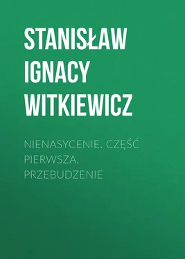 Stanisław Witkiewicz Nienasycenie. Część pierwsza, Przebudzenie обложка книги