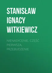 Stanisław Witkiewicz - Nienasycenie. Część pierwsza, Przebudzenie