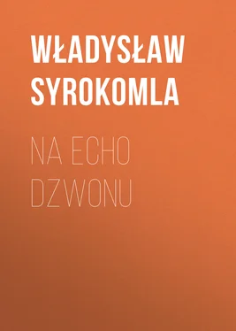 Władysław Syrokomla Na echo dzwonu обложка книги