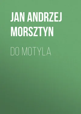 Jan Morsztyn Do motyla обложка книги