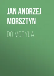 Jan Morsztyn - Do motyla