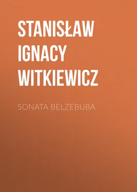 Stanisław Witkiewicz Sonata Belzebuba обложка книги